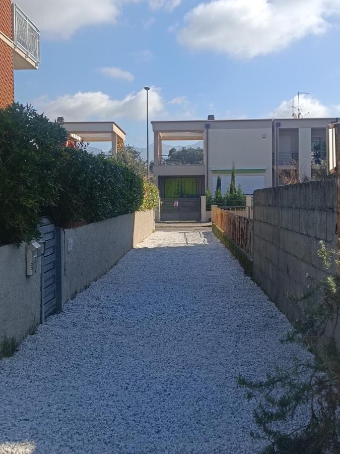 Le Palme 98 "Casa Vacanze" Лидо Ди Камайоре Екстериор снимка