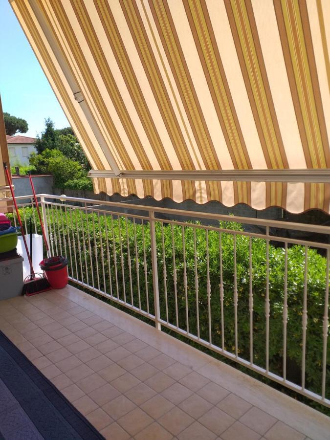 Le Palme 98 "Casa Vacanze" Лидо Ди Камайоре Екстериор снимка